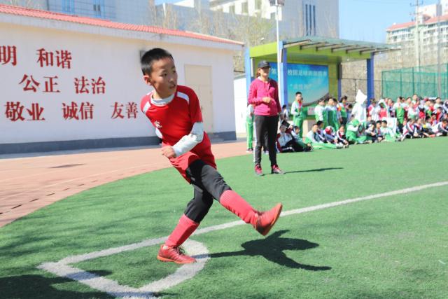 狄龙：字母哥毫无黑点 媒体根本无从抹黑 他为人厚道